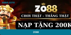 Zo88